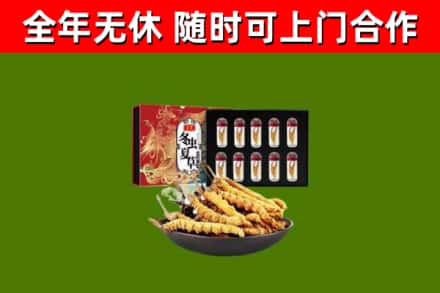 沽源烟酒回收冬虫夏草礼盒.jpg
